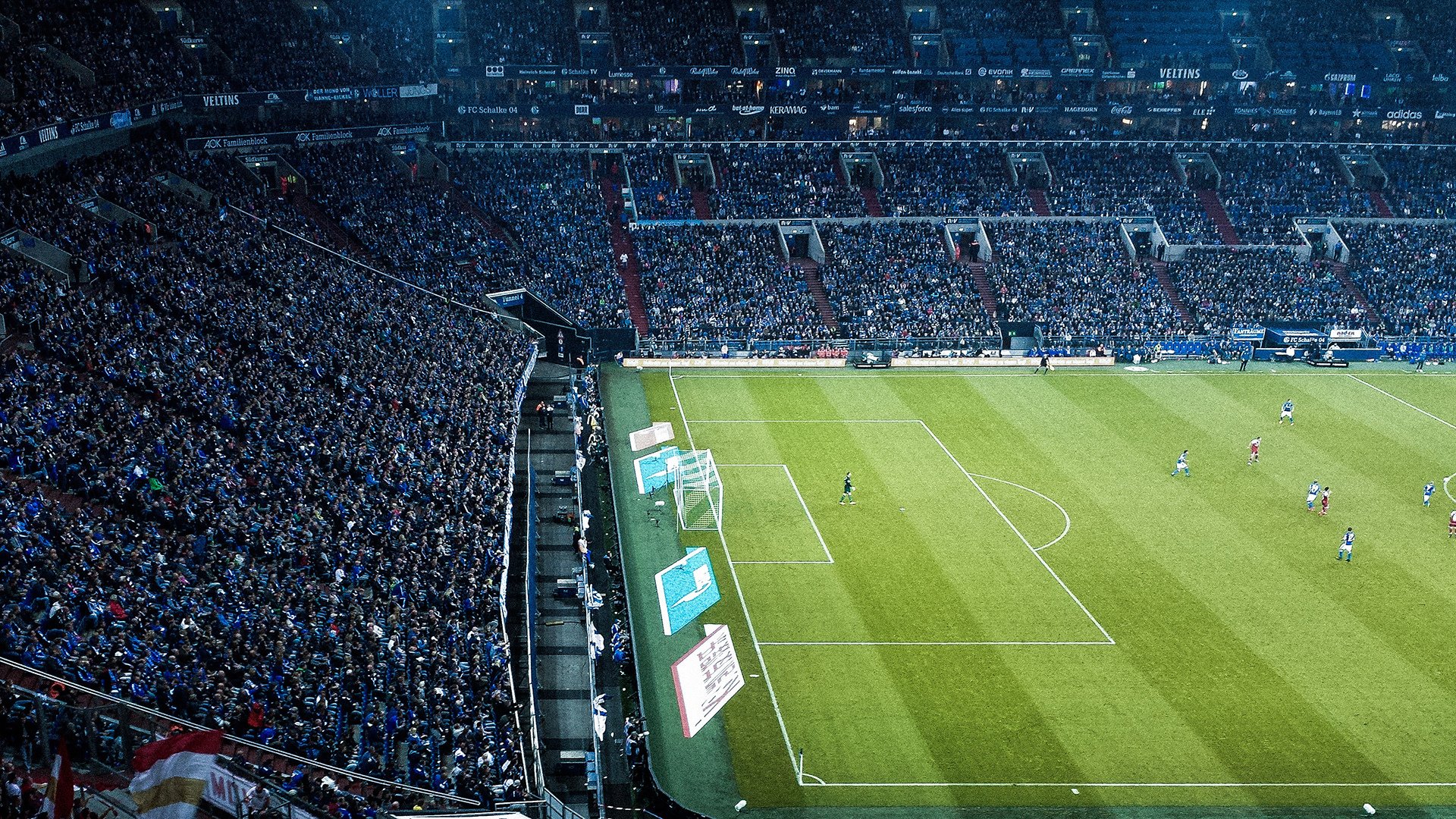 许昕点燃赛场，日本队横扫波兰队，一场超越胜负的乒乓盛宴