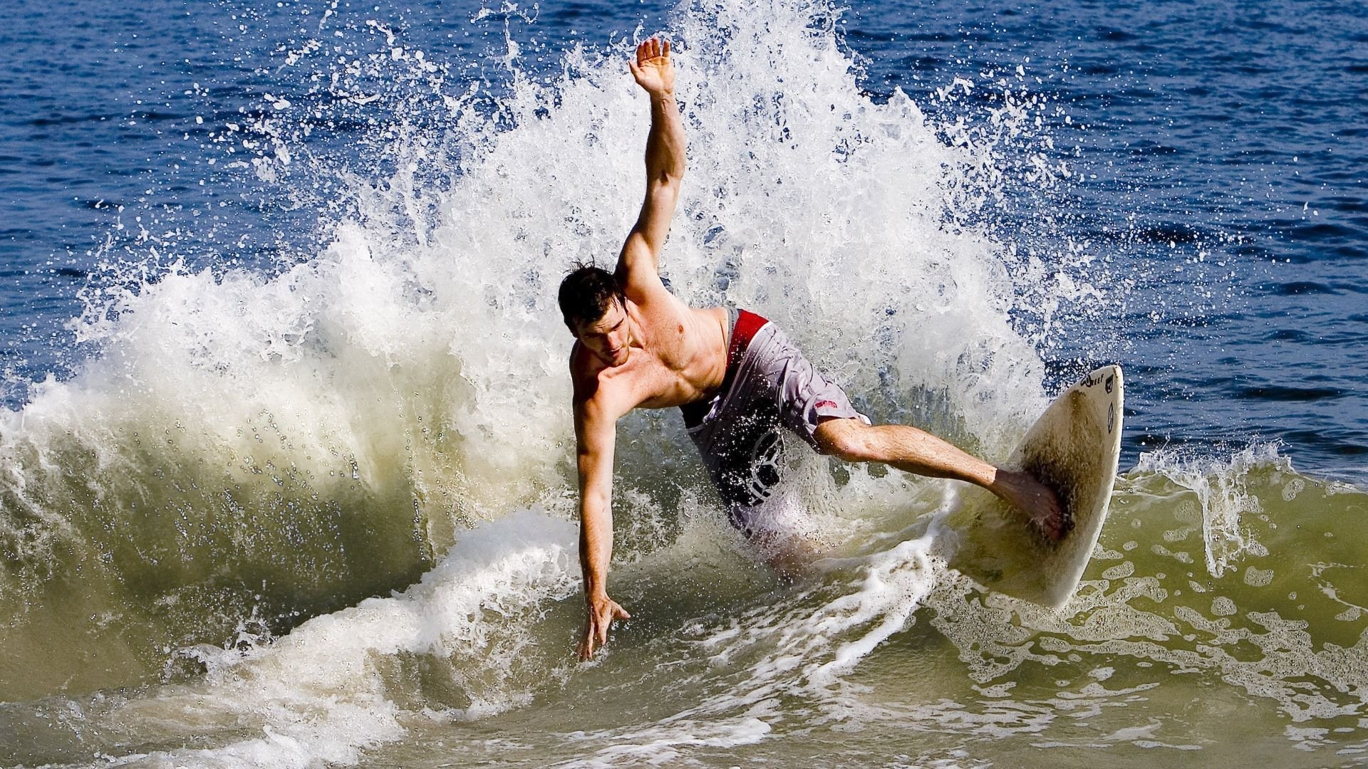 许昕点燃赛场，日本队横扫波兰队，一场超越胜负的乒乓盛宴